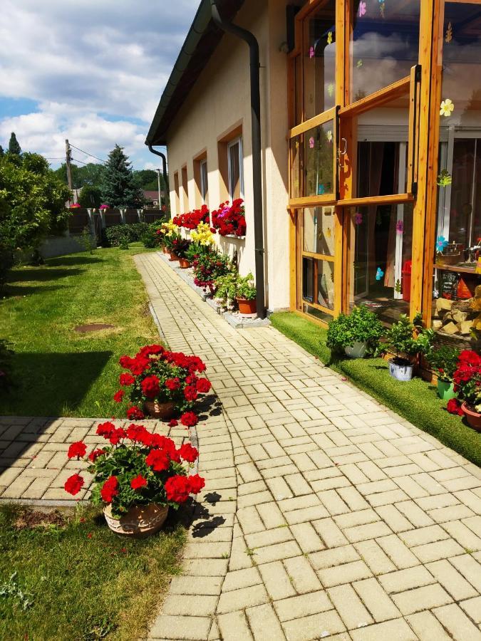 Ubytovani Poustka Františkovy Lázně Extérieur photo