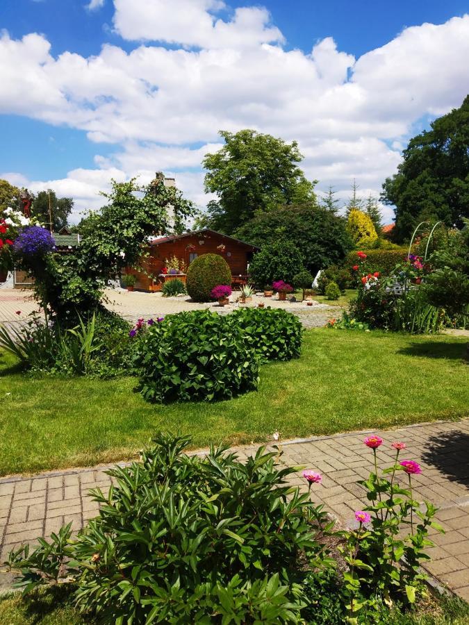 Ubytovani Poustka Františkovy Lázně Extérieur photo